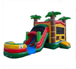 2-Lane Fire Palm Combo wet or dry